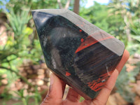 Polished Bloodstone Points x 3 From Swaziland