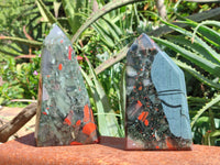 Polished Bloodstone Points x 3 From Swaziland