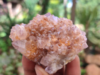 Natural Amethyst Spirit Quartz Clusters x 6 From Boekenhouthoek, South Africa