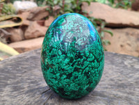 Polished Flower Banded Malachite Egg x 1 From Congo