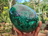 Polished Flower Banded Malachite Egg x 1 From Congo