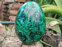 Polished Flower Banded Malachite Egg x 1 From Congo