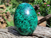 Polished Flower Banded Malachite Egg x 1 From Congo