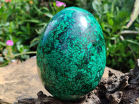 Polished Flower Banded Malachite Egg x 1 From Congo