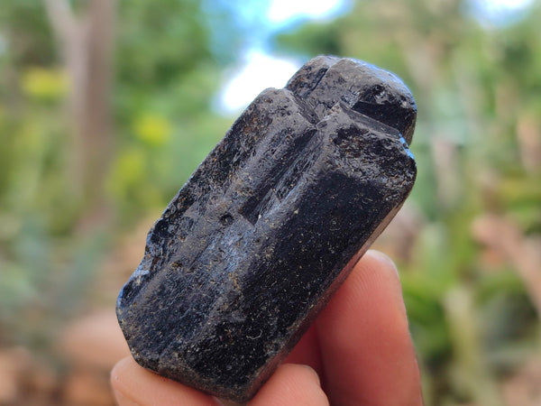 Natural Schorl Black Tourmaline Crystals x 35 From Zimbabwe