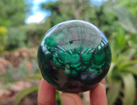 Polished Flower Banded Malachite Eggs x 2 From Congo