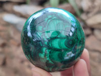 Polished Flower Banded Malachite Eggs x 2 From Congo