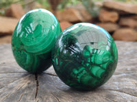 Polished Flower Banded Malachite Eggs x 2 From Congo