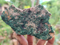 Natural Botryoidal Malachite Specimens x 5 From Congo