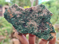 Natural Botryoidal Malachite Specimens x 5 From Congo