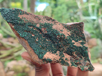 Natural Botryoidal Malachite Specimens x 5 From Congo