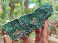 Natural Botryoidal Malachite Specimens x 5 From Congo