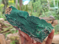 Natural Botryoidal Malachite Specimens x 5 From Congo