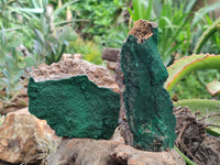 Natural Botryoidal Malachite Specimens x 5 From Congo