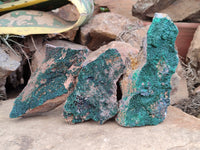 Natural Botryoidal Malachite Specimens x 5 From Congo