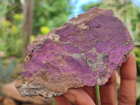 Natural Metallic Purpurite Cobbed Specimens x 7 From Erongo, Namibia