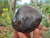 Polished Pharaoh Stone Palm Stones x 6 From Zimbabwe