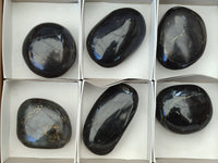 Polished Pharaoh Stone Palm Stones x 6 From Zimbabwe