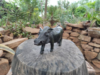 Hand Made Serpentine Warthog Carving x 1 From Zimbabwe