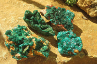 Natural Dioptase On Dolomite Specimens x 4 From Likasi, Congo