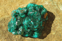 Natural Dioptase On Dolomite Specimens x 4 From Likasi, Congo