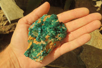 Natural Dioptase On Dolomite Specimens x 4 From Likasi, Congo