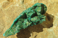 Natural Dioptase On Dolomite Specimens x 4 From Likasi, Congo