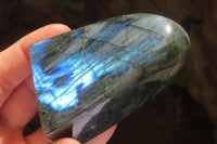 Polished Labradorite Standing Free Forms x 6 From Tulear, Madagascar