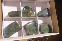 Polished Labradorite Standing Free Forms x 6 From Tulear, Madagascar