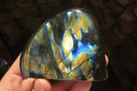 Polished Labradorite Standing Free Forms x 6 From Tulear, Madagascar