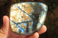 Polished Labradorite Standing Free Forms x 6 From Tulear, Madagascar