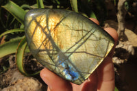 Polished Labradorite Standing Free Forms x 6 From Tulear, Madagascar