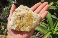 Natural Limonite Quartz Clusters x 5 From Solwezi, Zambia