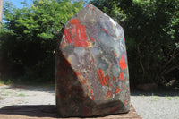 Polished Bloodstone Points x 1 From Swaziland