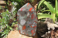 Polished Bloodstone Points x 1 From Swaziland