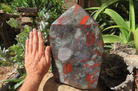 Polished Bloodstone Points x 1 From Swaziland