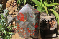 Polished Bloodstone Points x 1 From Swaziland