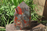 Polished Bloodstone Points x 1 From Swaziland