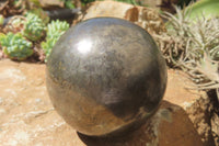 Polished Pharaoh Stone Sphere x 1 From Zimbabwe