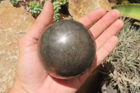 Polished Pharaoh Stone Sphere x 1 From Zimbabwe