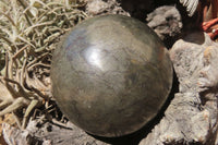 Polished Pharaoh Stone Sphere x 1 From Zimbabwe