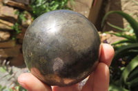 Polished Pharaoh Stone Sphere x 1 From Zimbabwe