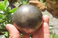 Polished Pharaoh Stone Sphere x 1 From Zimbabwe