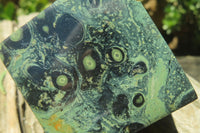 Polished Stromatolite Jasper Cubes x 3 From Madagascar