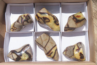 Polished Septerye Flame Sculptures x 6 From Madagascar