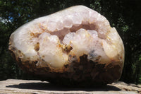 Polished Amethyst Agate Geode x 1 From Madagascar