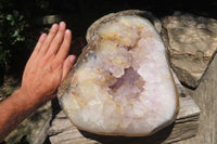 Polished Amethyst Agate Geode x 1 From Madagascar