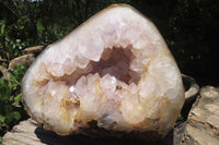 Polished Amethyst Agate Geode x 1 From Madagascar