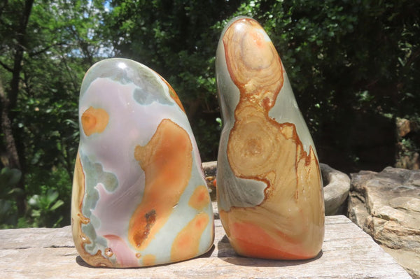 Polished Polychrome Jasper Standing Free Forms x 2 From Mahajanga, Madagascar