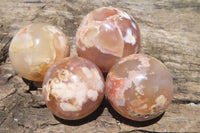 Polished Flower Agate Items x 10 From Madagascar